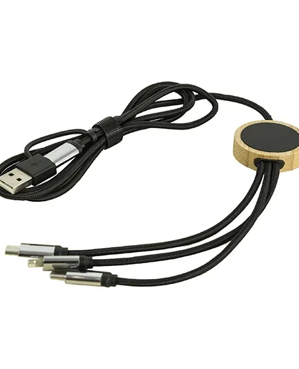 Дата кабель з перехідниками Type-C, Lighting, Micro-Usb, USB та підсвідкою лого, RODEN,120 см